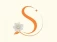 Logo de Ophicina do Segredo
